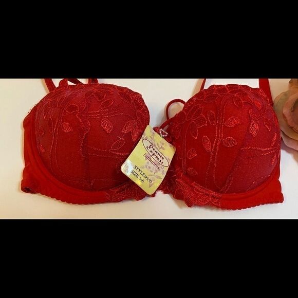 🌹Beaute express intimates sexy push up lace Bras - Picture 5 of 9
